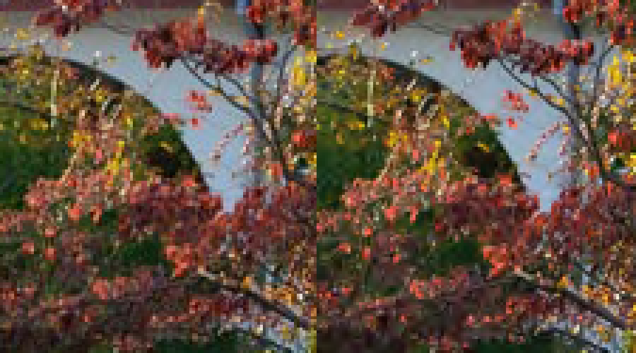 Fall Foliage JPEG vs JPEG 2000